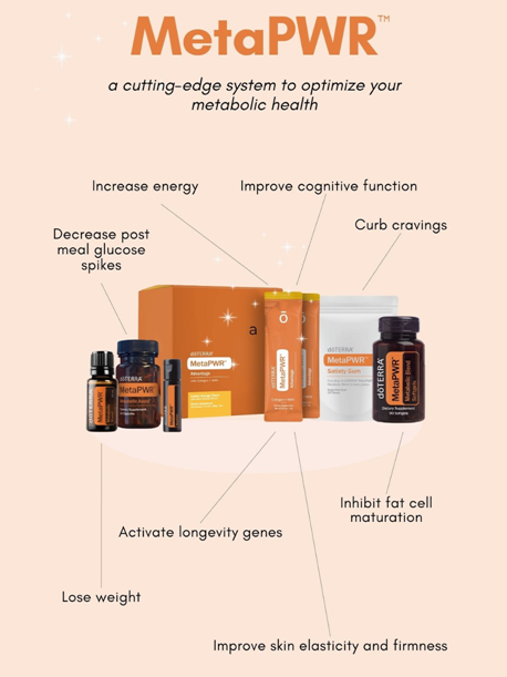 MetaPWR Starter System