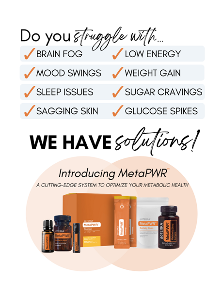 MetaPWR Starter System