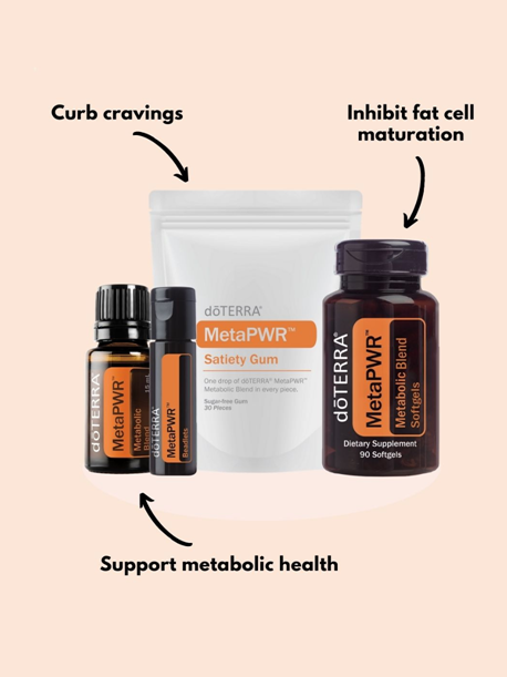 MetaPWR Starter System