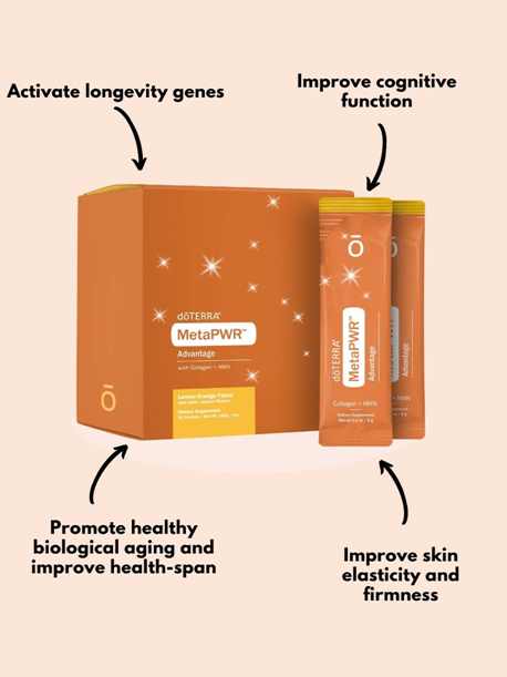 MetaPWR Starter System