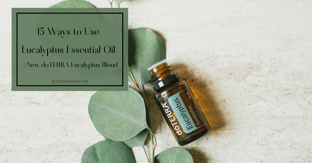 15 Ways to Use Eucalyptus Essential Oil New doTERRA Eucalyptus Blend