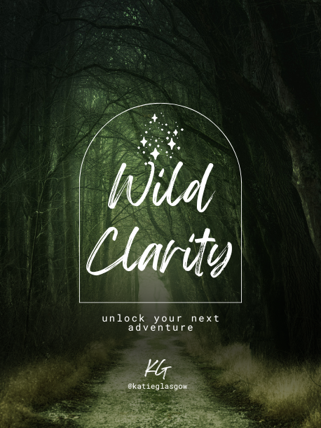 Wild Clarity One on One Coaching