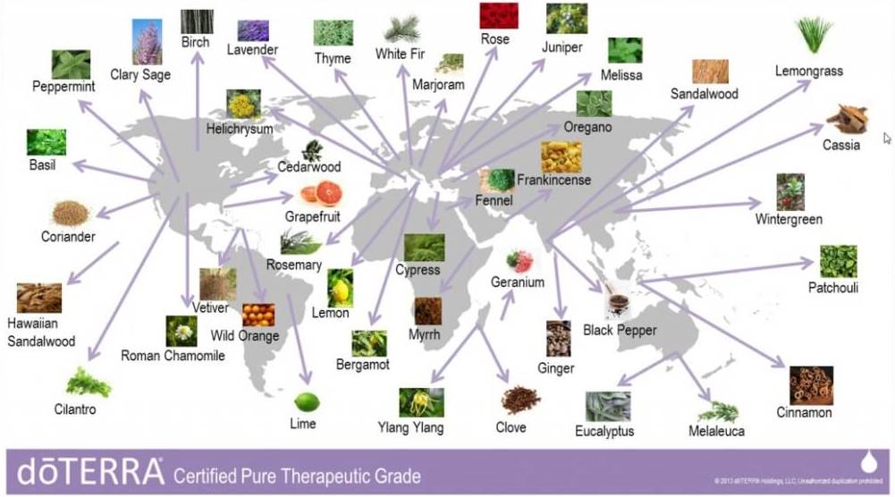 doTERRA ätherische Öle Herkunft doTERRA ätherische Öle Herkunft