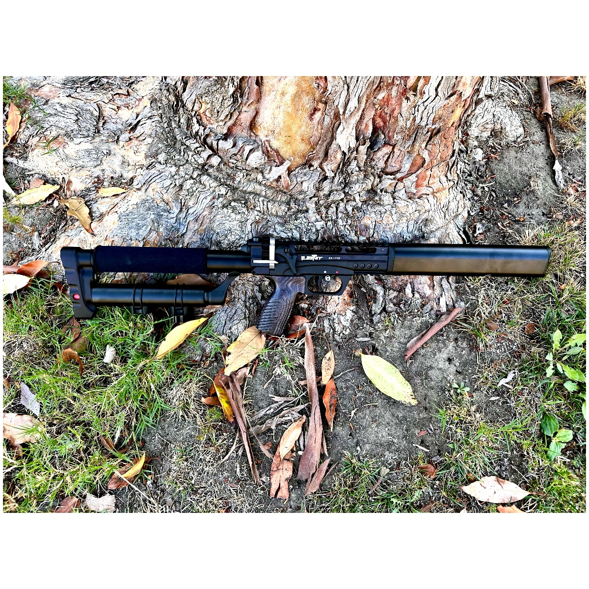 EDgun Leshiy 2 Black .30 caliber