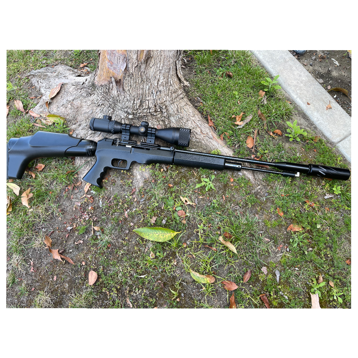 FX Revolution .22 Caliber Semi-auto