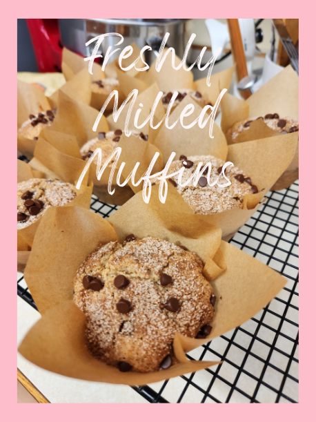 Muffins