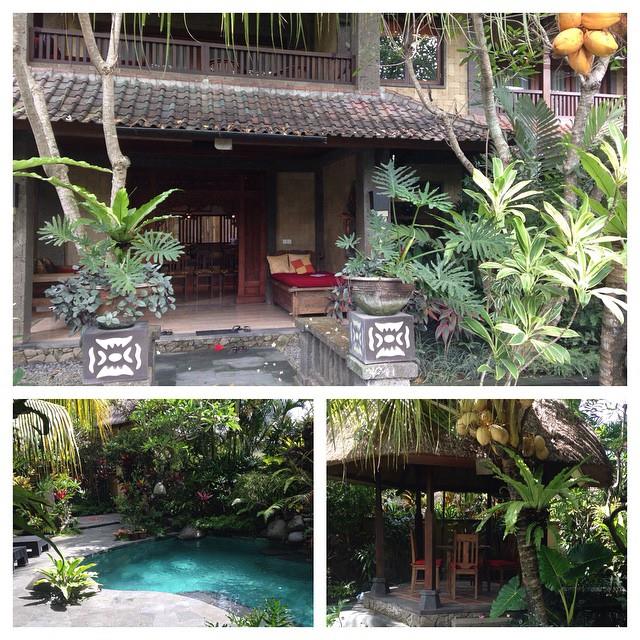 10177261_10204297240704310_3489329116938966465_n