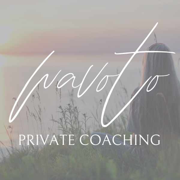 Wavoto Coaching Session