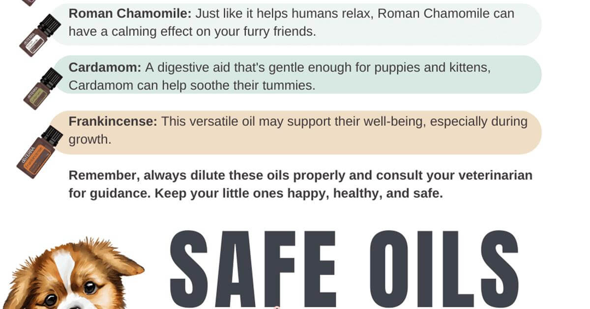 Safe Essential Oils for Puppies & Kittens