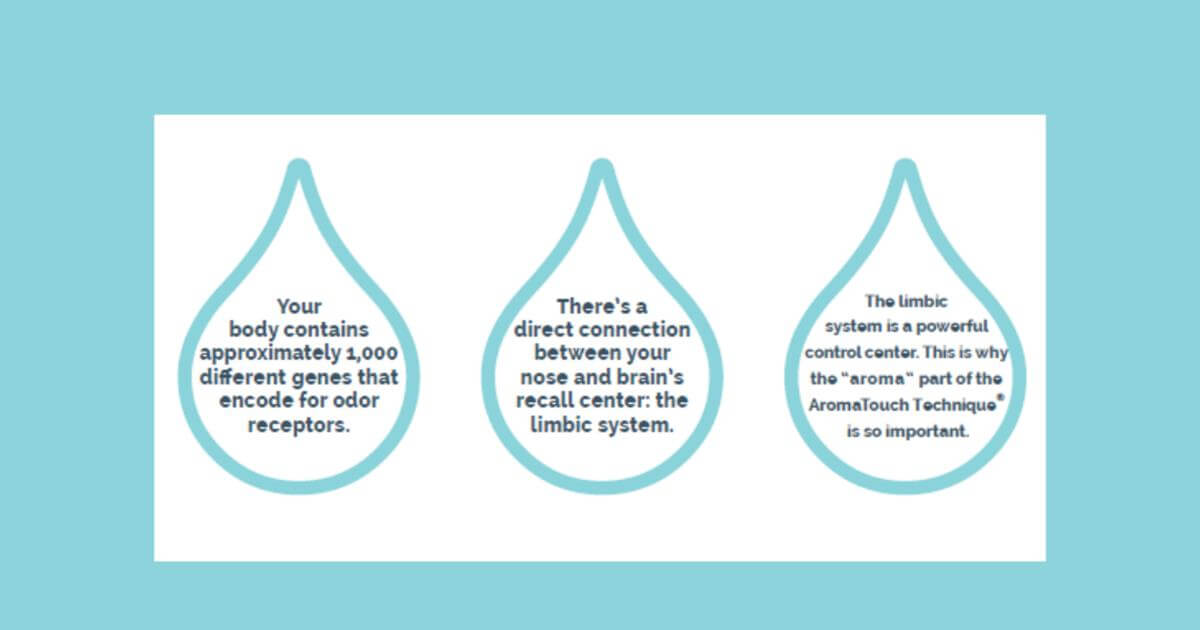 Fun Facts About Aroma!