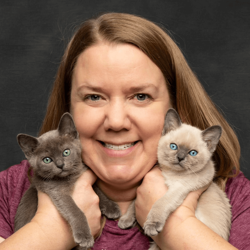 Virtual Cat Breeder Conference Training Big Hearted Breeders