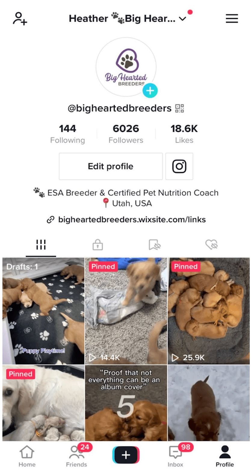 How To Sell Puppies or Kittens Online Using Social Media