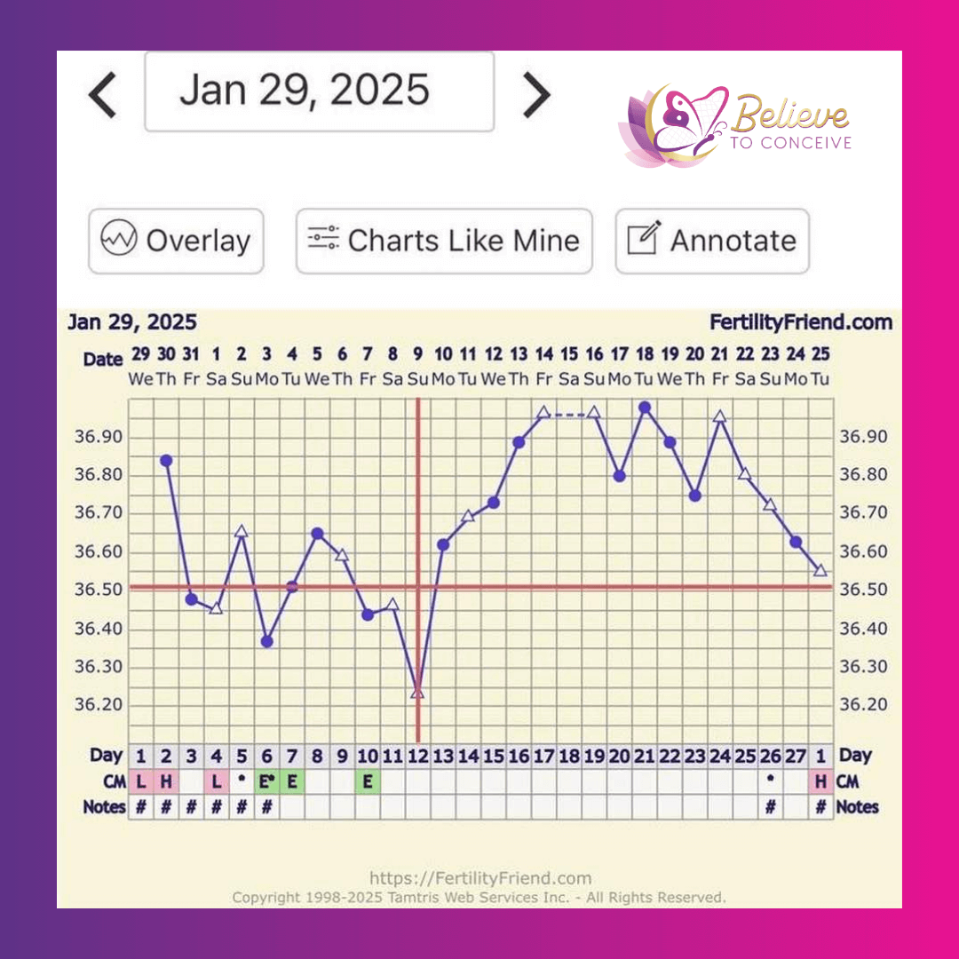 Basal body temperature fertility chart screenshot from Fertility Friend app showing ovulation rise