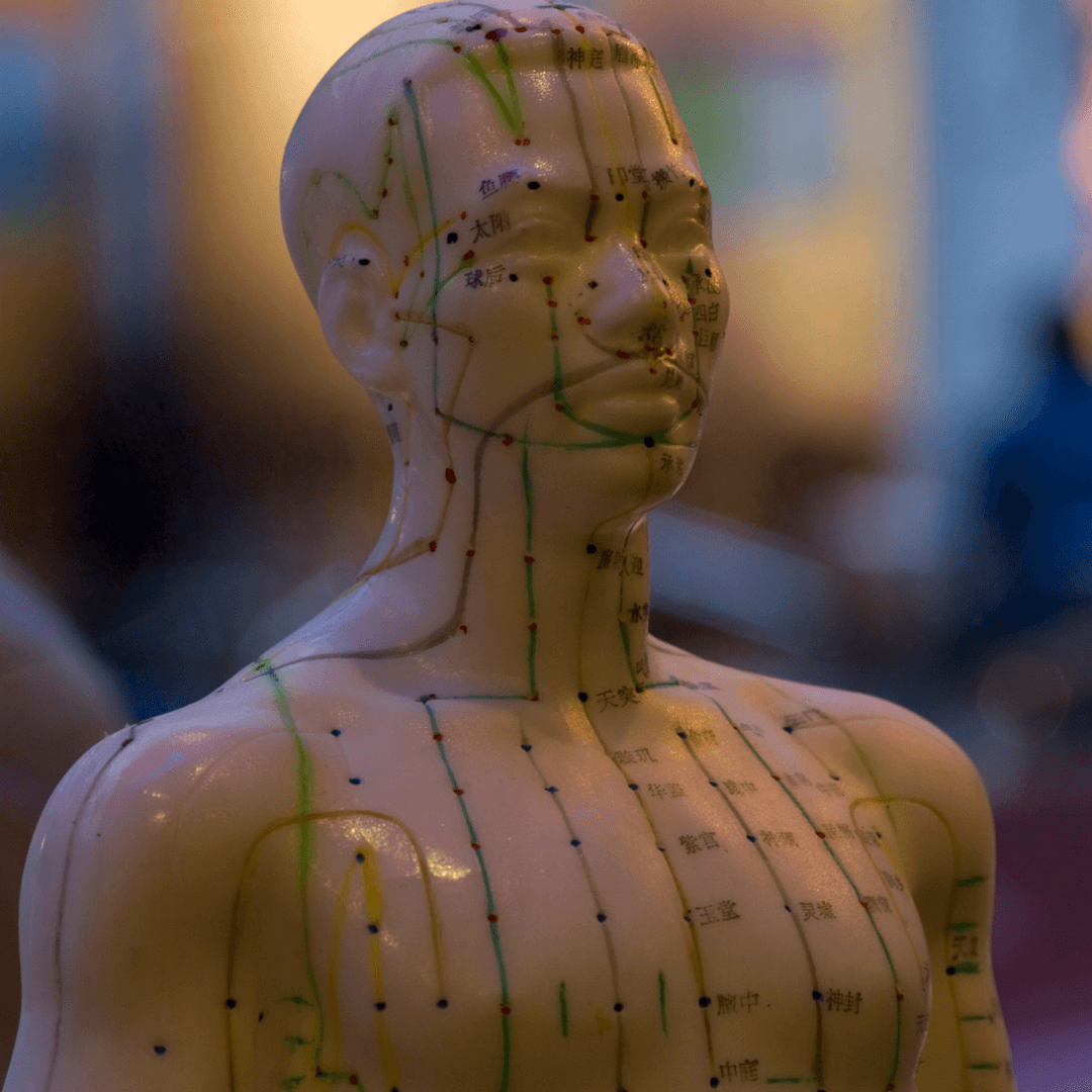 HOW ACUPUNCTURE WORKS: THE PHILOSOPHY AND SCIENCE​