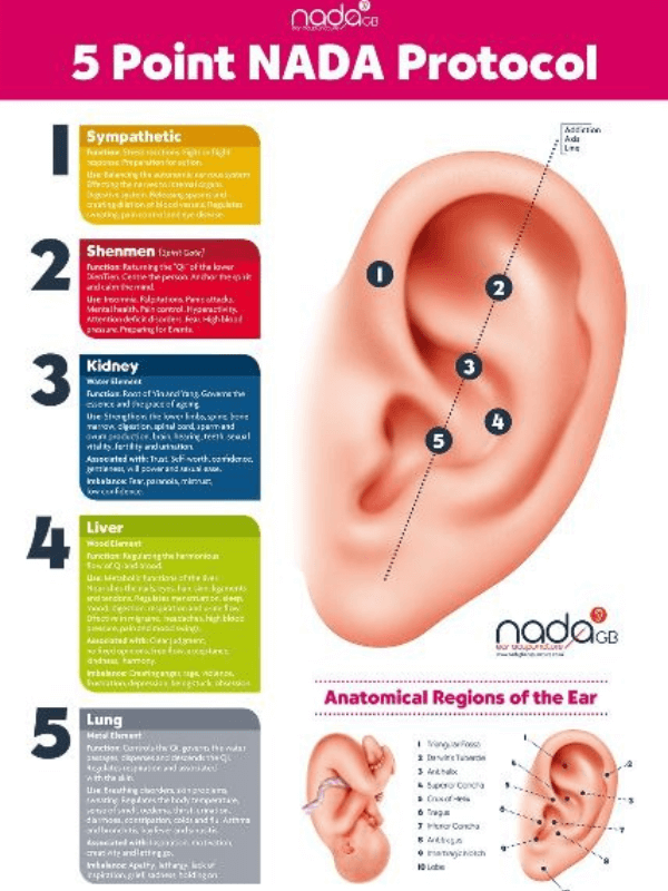 Five point NADA ear acupuncture protocol diagram showing auricular acupuncture points for calming the nervous system