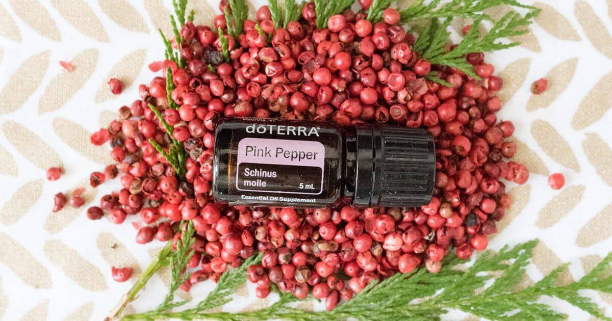 6c612bc7-215d-4076-9b7b-