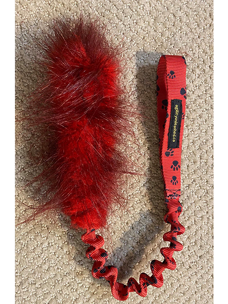 Bungee Tug