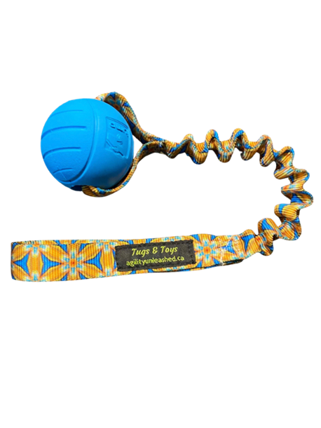 Bungee Ball Tug Your Choice