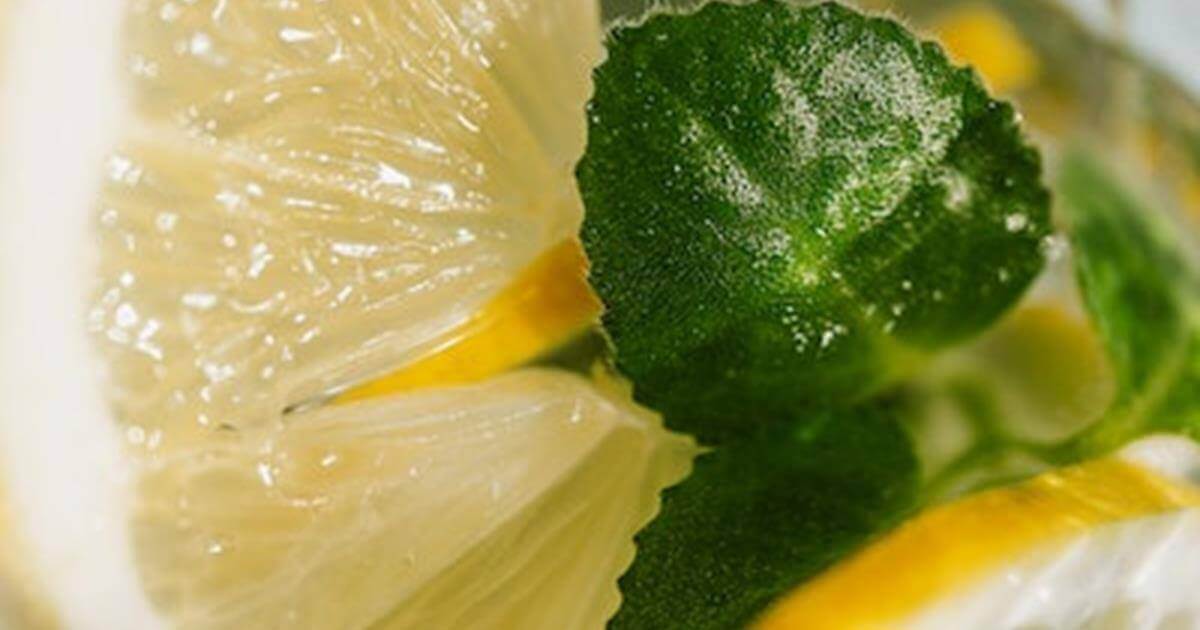 History of the Vodka Tonic Cocktail What to Know