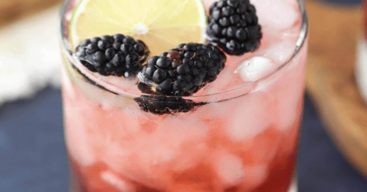 Blackberry Vodka Tonic with 22 Salute Vodka Refreshing Cocktail Recipe