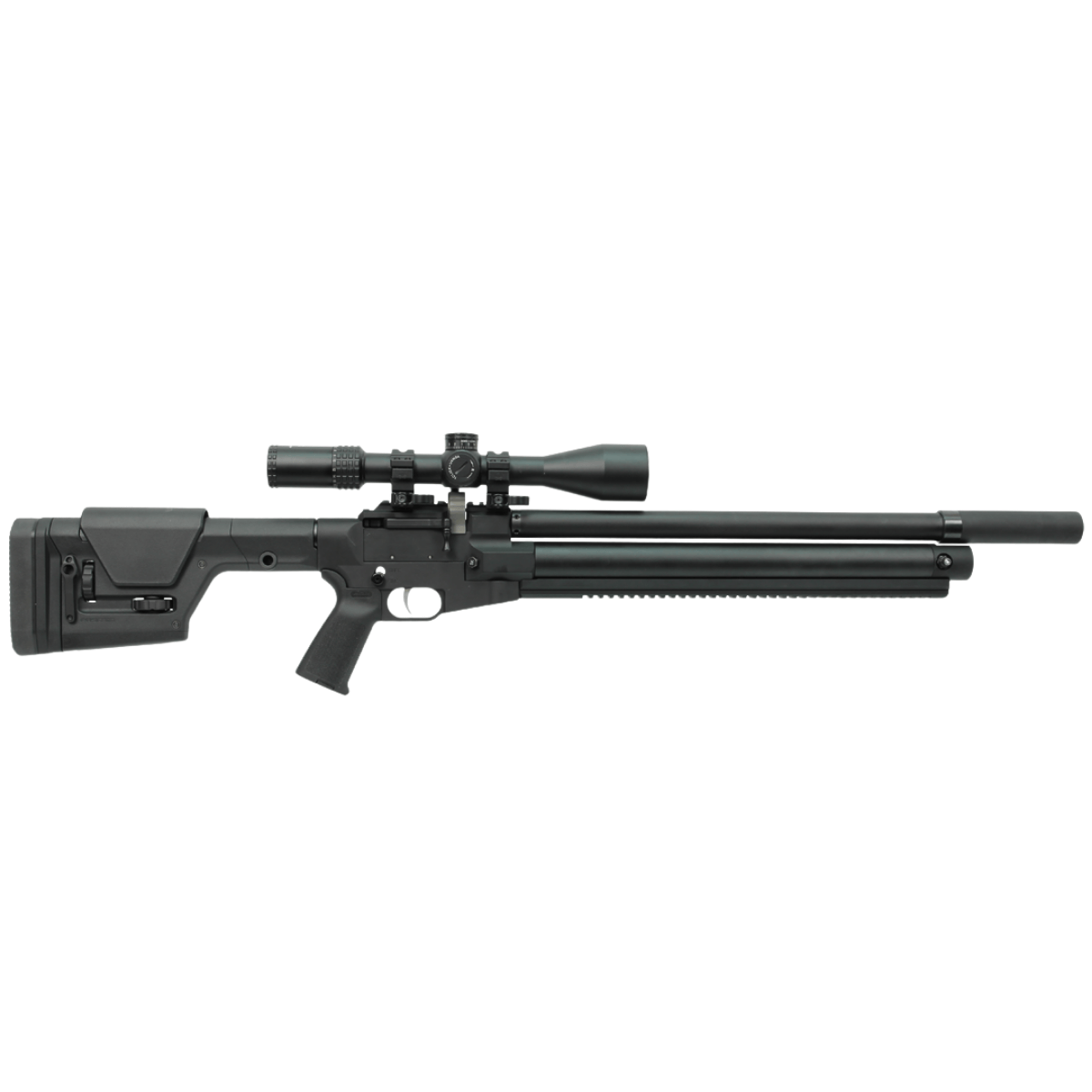 www.airgunsport.com